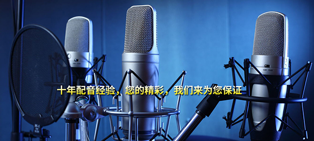 上海配音行業SEO優化案例